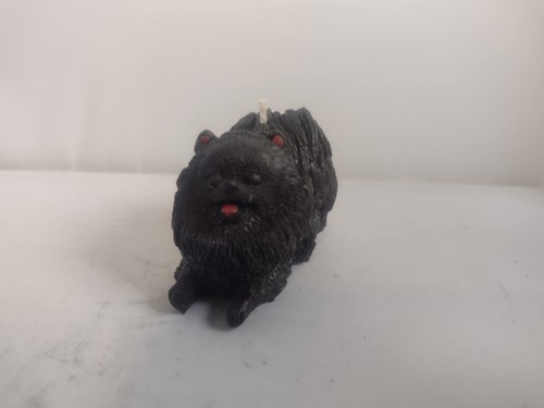 Cute black pomeranian spitz - black,