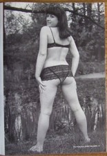 "Fabulous June Palmer No 3."