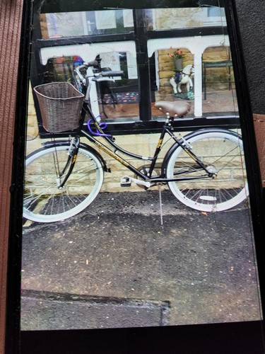 Dutch ladies bicycle with - dutch,