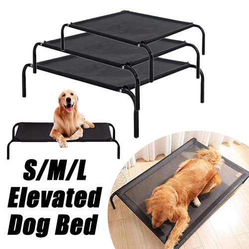 Elevated dog bed mesh - dog,