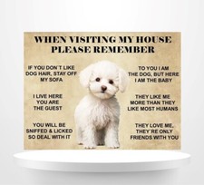 Funny Cute Bichon Frise Dog