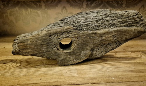 Natural unique driftwood - natural,