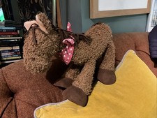 Happy Horse Leiden Holland