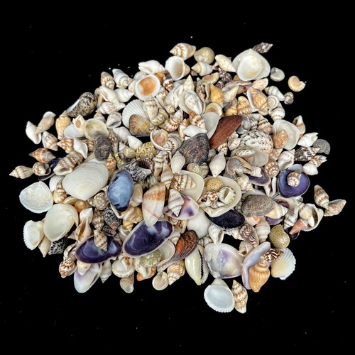 Assorted mixed micro craft - micro,