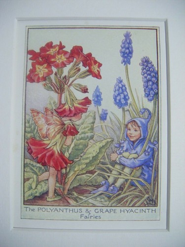 Vintage flower fairies print - vintage, &