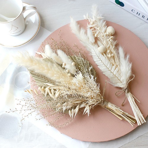 New fan reed - new,