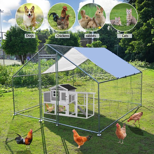 10x metal chicken coop - ft,