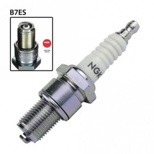 Single NGK Standard Spark Plug