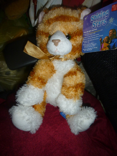 Russ shining stars ginger cat - shining,