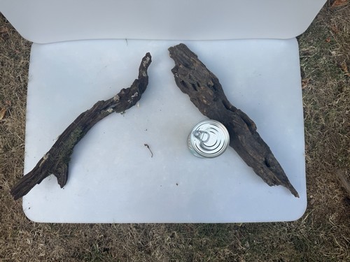 Bogwood spider wood - bogwood, root