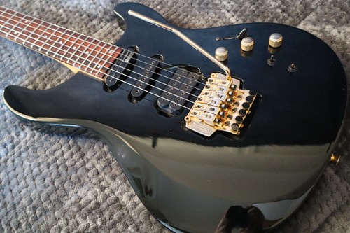 Fernandes apg 85s sustainer - fernandes,
