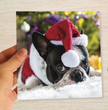 French Bulldog Christmas Cards