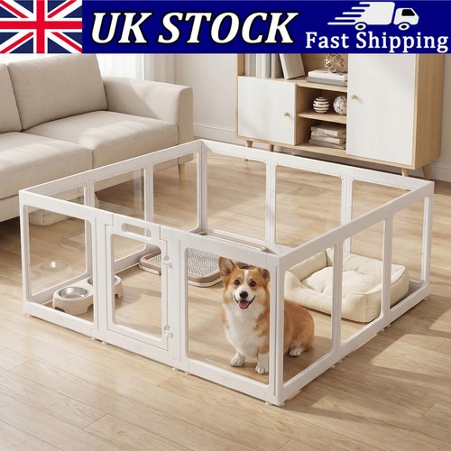 Clear acrylic dog - acrylic, cage