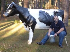 Life-Size Holstein Cow 3D |