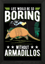 Armadillo Framed Wall Art