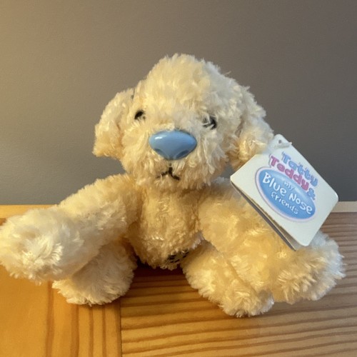 Tatty teddy blue nose friends - teddy,