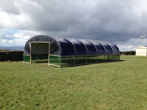 Field sheep shelter livestock - field,