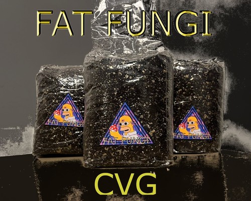 Mushroom substrate sterilised - mushroom,
