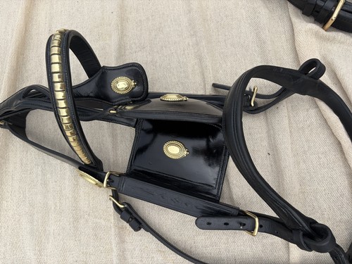 Premium black patent - premium, english