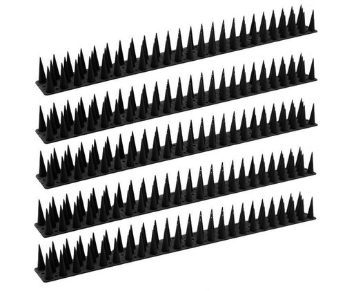 Bird spikes for pigeon - bird,
