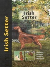 Irish Setter (Pet love)