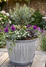 Galvanised Planters Large