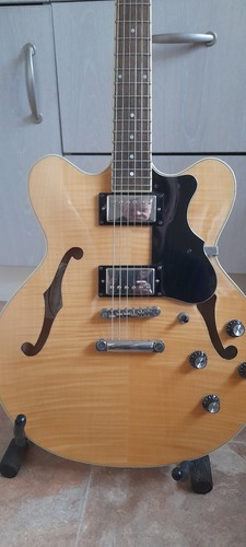 Hofner verythin series 2008 - series,