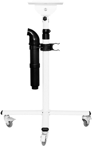Dog pet grooming - dog, stand