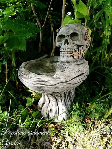 Skull bird bath - bird,