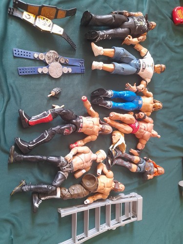 Wwe action figure - bundle, plus