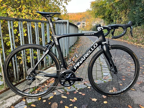 Pinarello dogma size - size, 55