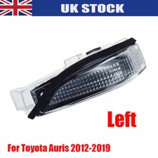 Wing Mirror Indicator Light