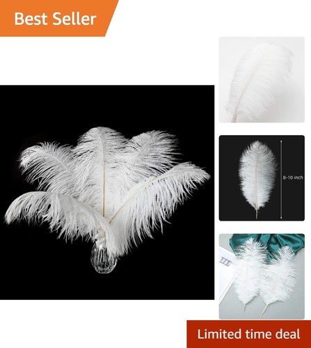 Luxurious 24pcs natural white - luxurious,