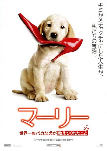 Marley japan movie flyer - &,