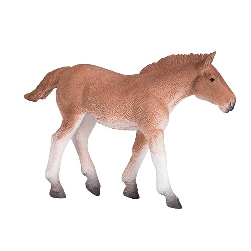 Mojo suffolk punch foal horse - mojo,