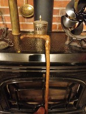 Lovely Natural Hazel Walking