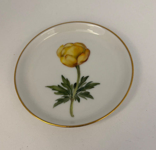 Rosenthal hand painted - rosenthal,