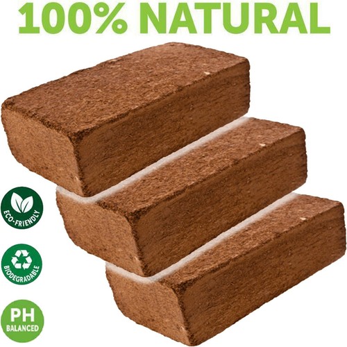 100 organic coconut - organic,