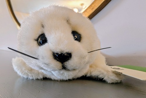 World wide wildlife - world,