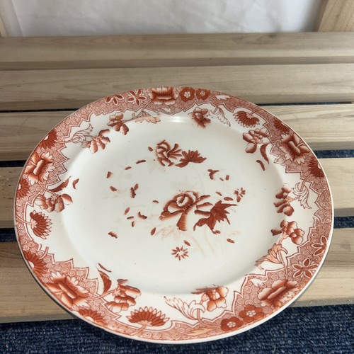 Spode india tree rust side - tree,
