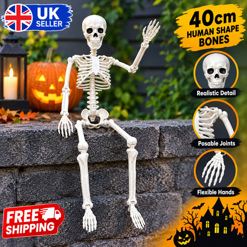 Giant life size human skeleton - human,