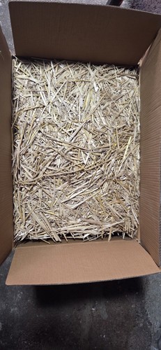 Top quality wheat straw - 1, kg