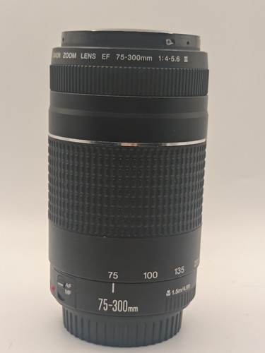 Canon 300mm 5 6 - ef, f/4-5.6