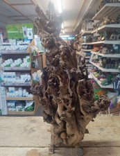 Gnarly Scapers Wood Aquarium