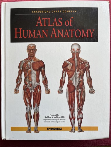 Acc atlas human anatomy - atlas, of