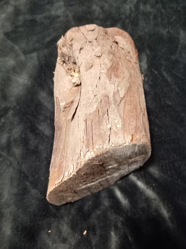 Yew wood log - yew, for