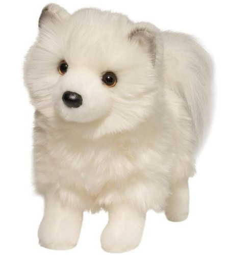 Douglas dog husky phoebe - dog,