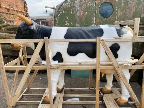 Life size fiberglass cow - life-size,