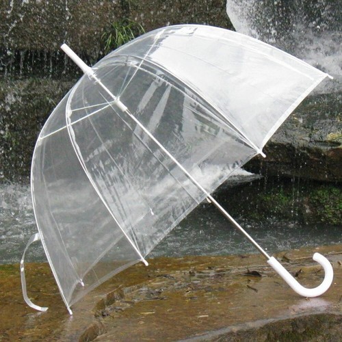 Large clear dome see - dome,