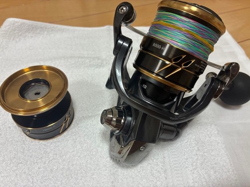 Daiwa caldia 8000 h - caldia, sw